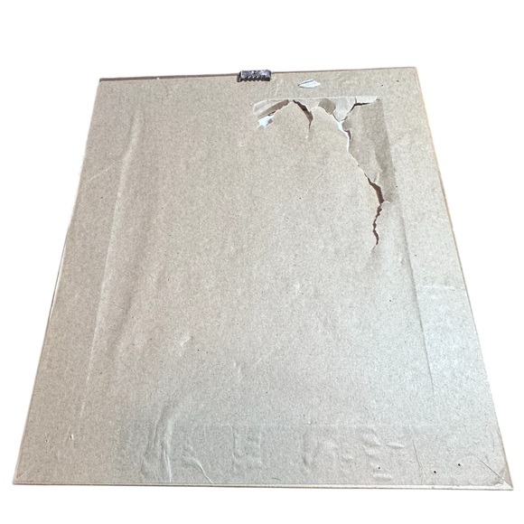 Vintage Pressed Botanical Art – Set of 2 | Framed Floral Wall Decor - Picture 6 of 15